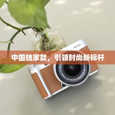 中国独家款，引领时尚新标杆