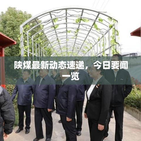 陕煤最新动态速递，今日要闻一览
