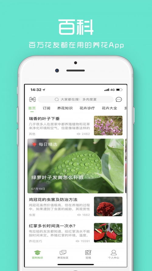 铁石心肠