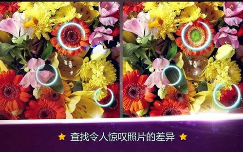 花草手游官方下载,合理化决策评审-豪华版_v1.909