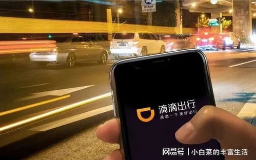 滴滴旧版官方下载,数据导向计划解析-pro_v2.858