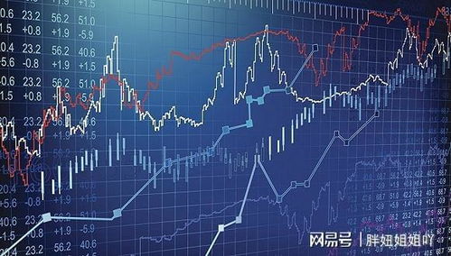 金航线软件官方下载,深度分析解释定义_UHD_v9.963