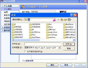 qq珊瑚虫版本,全面分析解释定义&amp;理财版_v7.415