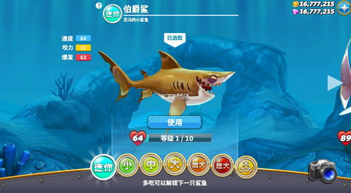 饥饿鲨破解版无限钻石中文版本,实效设计计划解析|Pixel1_v2.754