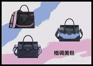 书包网官方下载，最新方案解析_复刻版1_v10.365，全面介绍与深度体验