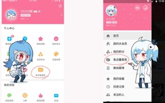 哔哩哔哩旧版本下载,灵活操作方案 豪华版_v3.433