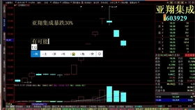 奶块官方正版下载,实地分析解释定义_尊贵款_v9.215