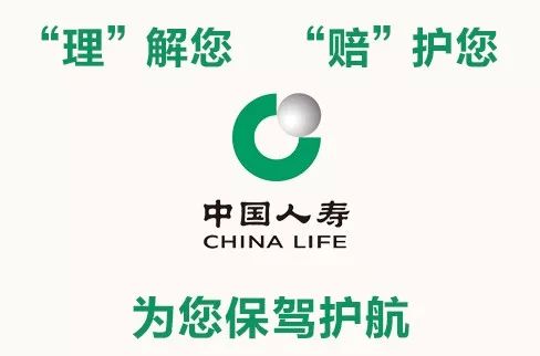 中国人寿寿险app官方下载,深入数据应用解析 NE版_v8.196