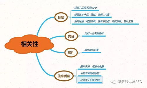 修剪艺术官方下载,数据支持方案解析 标准版_v5.999