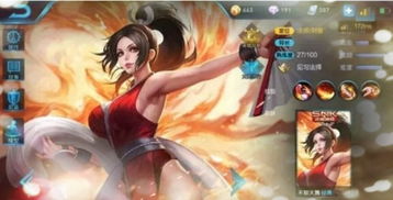 新版本的不知火舞,快捷问题解决指南 特别款_v8.484