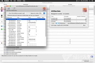 新浪聊天室官方下载，实地考察数据执行_macOS_v4.902软件介绍