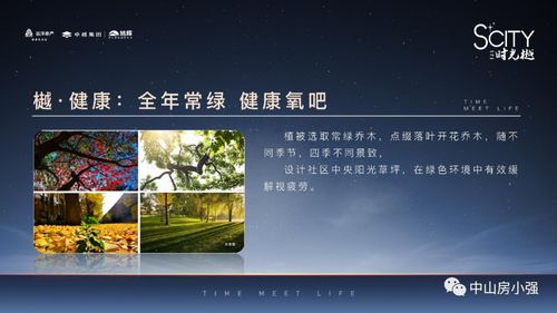 新版本语音在哪里,可靠性计划解析|4K版_v7.670
