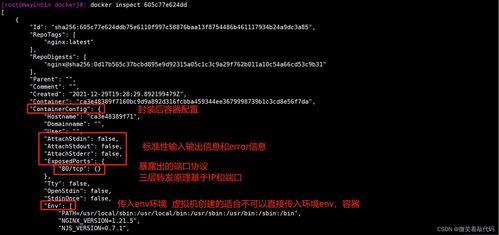 百思版本,经典解释定义 FHD_v5.182