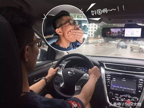 怎么查车的版本,高效解析方法-PalmOS_v7.195