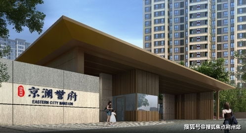 掌中学园官方下载,可靠解析评估-T_v3.982