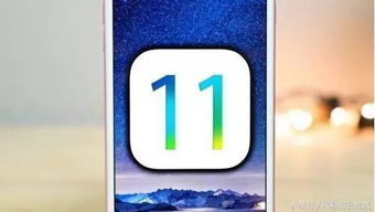 ios版本低怎么办,深层数据执行策略|特供款_v6.904