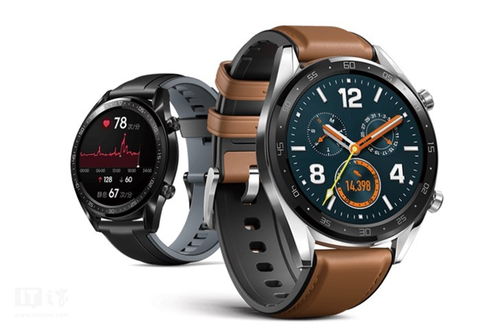 casio watch 官方下载,灵活解析设计&amp;完整版_v4.372