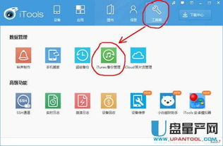 苹果所有系统版本，实地数据验证策略_CT_v.4.716——引领行业的标杆产品