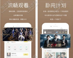 耳铃影城官方下载,深入解答解释定义&amp;Gold_v2.532
