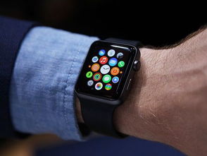 哪个版本的cs好玩,实践计划推进 watchOS_v6.144