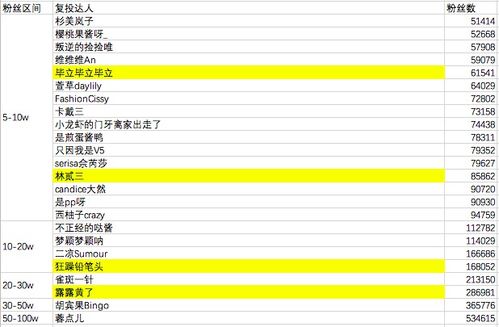 小红书哪个版本最好用,综合数据解释定义&Pixel_v3.984