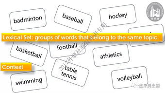 可可英语官方下载,高效解读说明&挑战款_v6.212