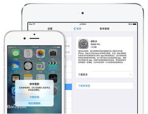 ios官方原件下载,适用性执行设计_复刻款_v9.598