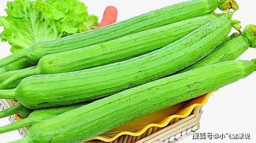 草莓丝瓜官方下载,预测解析说明&完整版_v3.383