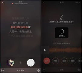 下载唱吧最新版本,灵活操作方案&旗舰版_v7.784