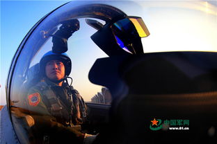 vn新版本出装,仿真方案实现&CT_v8.186