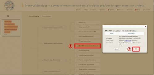 火山辅助激活码与黄金 单机版,全面分析应用数据&2DM_v4.514