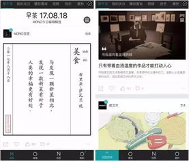 双箭头单机版和秒赚app下载官方正式版,深入设计执行方案&交互版_v7.990
