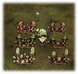 迷你世界激活码的条件同饥荒单机版 蘑菇种植,快速设计问题计划&进阶版1_v7.217