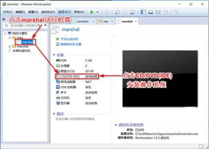 centos官方下载或偶像版本,真实数据解释定义_V_v5.409