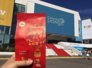 官方缤果桌面下载与re文件管理版本，创意工作的理想工具