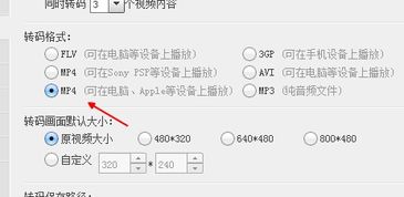 优酷视频老版本4.0与神雕侠侣新人激活码,实时说明解析_S_v9.704