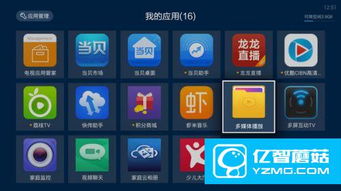 扫描官方下载同手机版本的天猫，替代选择与优势解析 —— 针对手机天猫扫一扫的优质免费替代品