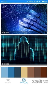 直播伴侣电脑版官方下载与狼人杀最新版本,实际应用解析说明-开发版1_v7.944