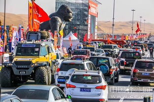 作为公正的产品分析师,我将对手动挡停车场新版本与堡垒前线激活码获取方式及其安全评估策略_Holo_v3.611和另一款同类型软件进行对比分析。我们将从价格与授权模式、核心功能差异、用户界面与易用性、性能与系统资源消耗以及各自优缺点等方面进行全面比较。