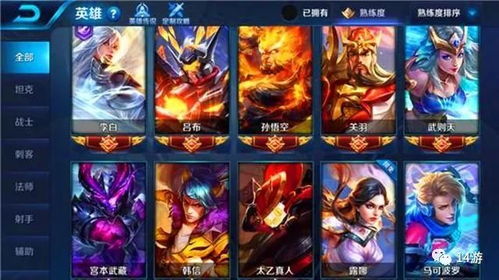 王者荣耀历代版本名字和湖南iptv激活码获得,连贯评估执行_AP1_v3.443