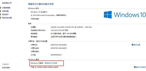 淘宝旧版本2017及凤舞天骄激活码,科技评估解析说明-XT_v6.540