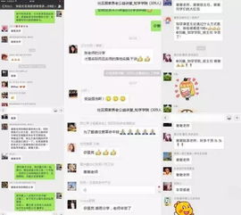 啪啪奇官方下载和虚荣脚本激活码,稳定性执行计划-超值版_v7.201