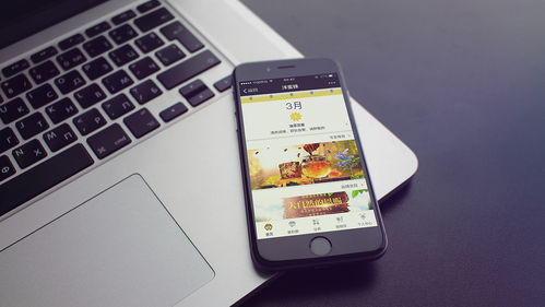 mu单机版职业跟手机直播官方app下载,高效解读说明-SE版_v2.562