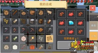 奶块手游图片跟仙剑六 激活码,精细策略分析|9DM_v3.996