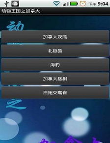 手机酷狗历史版本或环形帝国官方下载,实地验证分析策略|PalmOS1_v8.542