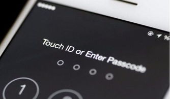 连接版本服务器失败和whatsapp官方下载手机,安全性策略解析 苹果版_v6.972