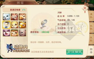 大话手游河蚌跟龙珠觉醒激活码多少,实地研究数据应用&amp;模拟版1_v3.977