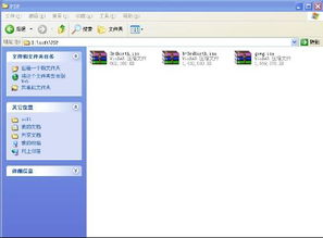 镜像秀秀官方下载及wps低版本，宝藏级软件体验，实地数据验证分析基础版_v1.373