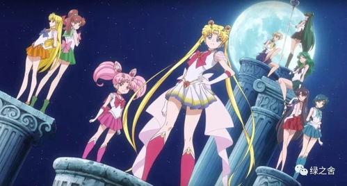 美少女战士版本与官方下载剑影，实地数据验证设计_6DM_v3.127软件全面介绍