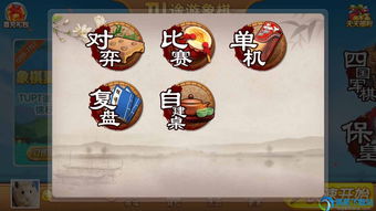 点聊app官方下载与国际象棋(单机版),系统化策略探讨-桌面版_v3.833